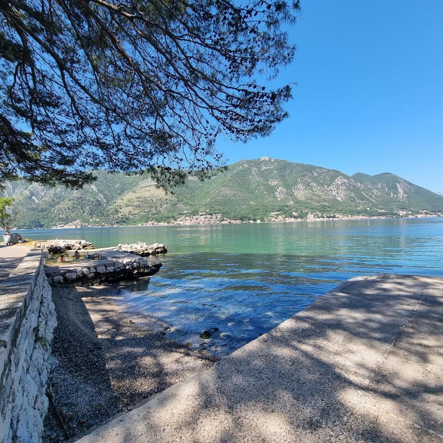 Lovely Apartment Jovan 3,With A View Of The Bay And Free Wi-Fi Kotor Ngoại thất bức ảnh