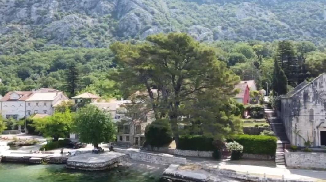 Lovely Apartment Jovan 3,With A View Of The Bay And Free Wi-Fi Kotor Ngoại thất bức ảnh